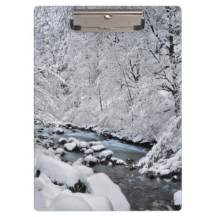 Schneebach Creek Scenic, Oregon Klemmbrett