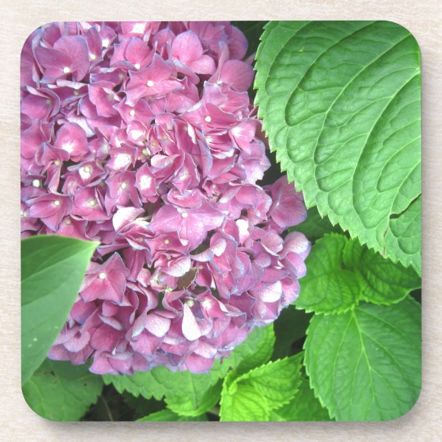 Schneeball Untersetzer (Vorderseite)