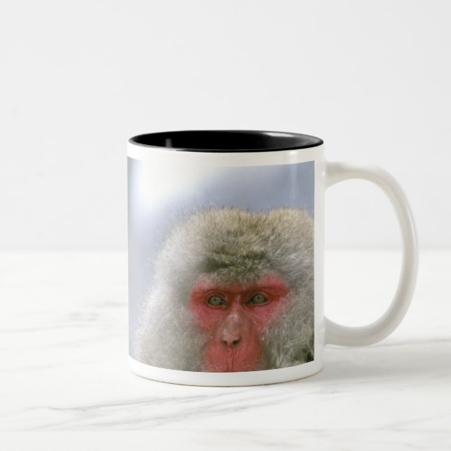 Schneeballkuchen, japanischer Macaque, Zweifarbige Tasse (Rechts)