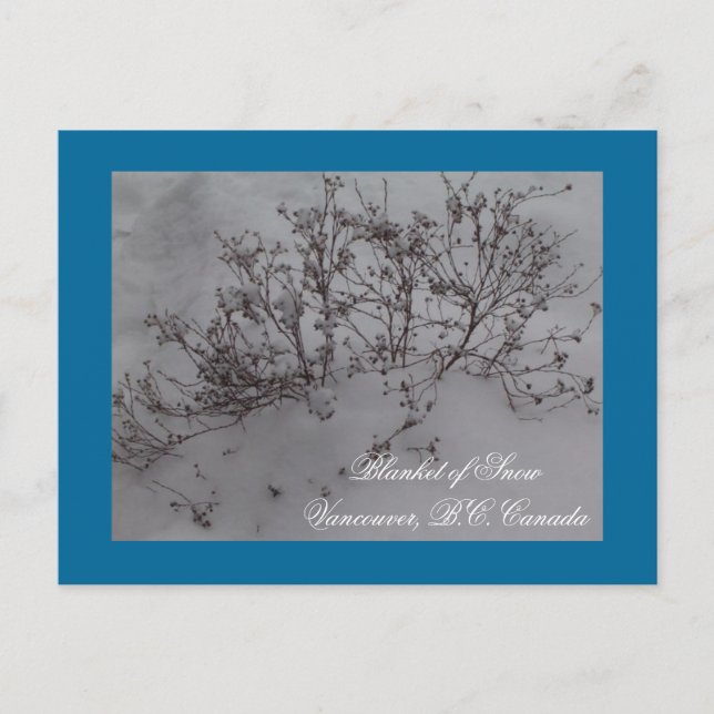 Schneeballschuh in Vancouver Postkarte (Vorderseite)
