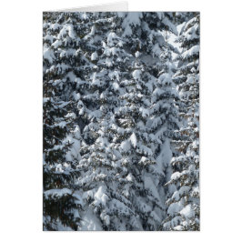 Schneeballstruktur