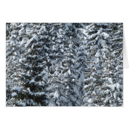 Schneeballstruktur