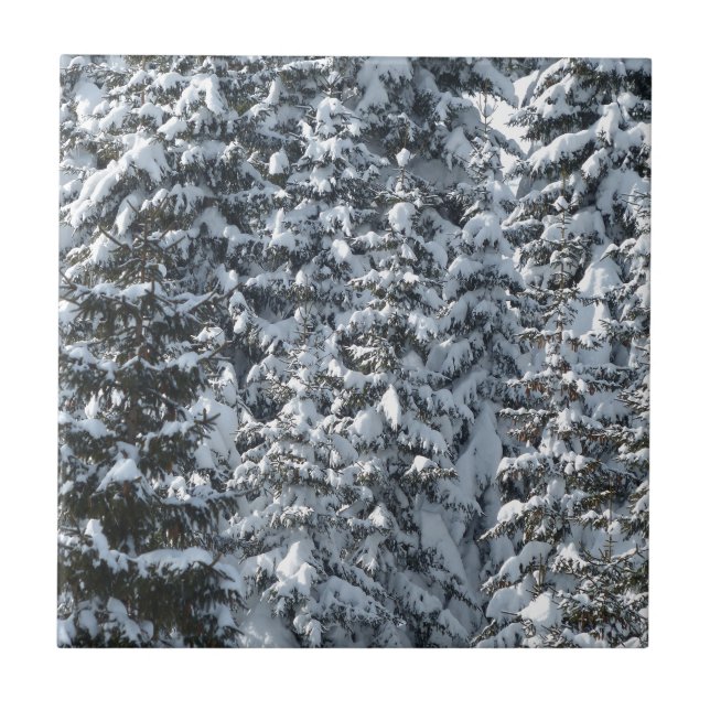 Schneeballstruktur Fliese (Vorderseite)