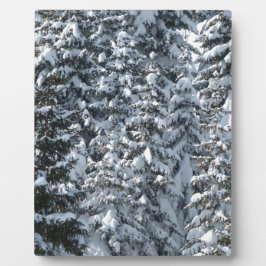 Schneeballstruktur Fotoplatte