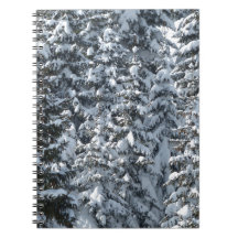 Schneeballstruktur
