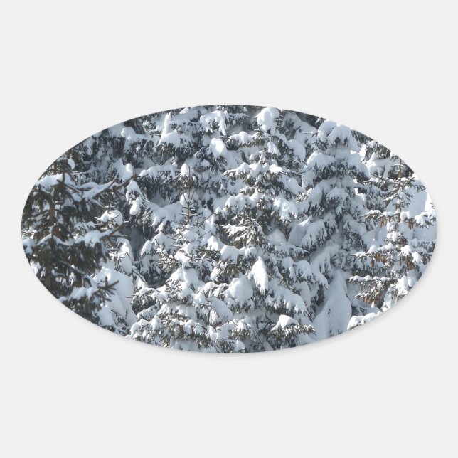 Schneeballstruktur Ovaler Aufkleber (Vorderseite)