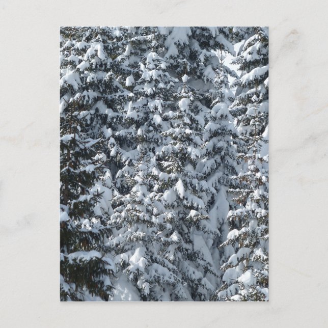 Schneeballstruktur Postkarte (Vorderseite)