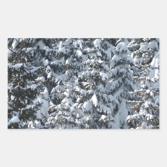 Schneeballstruktur Rechteckiger Aufkleber (Vorderseite)