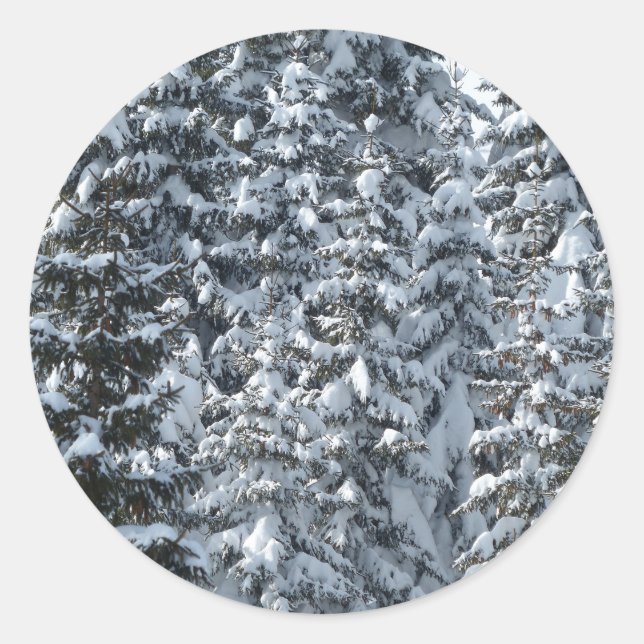 Schneeballstruktur Runder Aufkleber (Vorderseite)