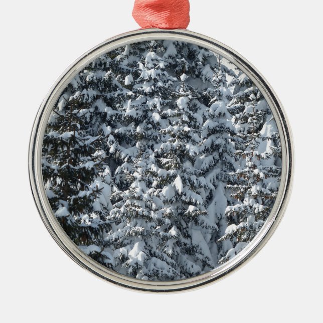 Schneeballstruktur Silbernes Ornament (Vorne)