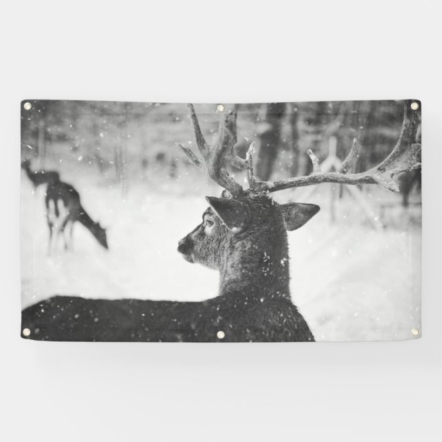 SCHNEEBanner mit KRAFTSTOFFEN Banner (Horizontal)