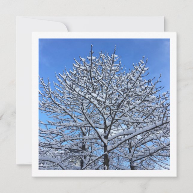 Schneebaum - Personalisierte Karte (Vorderseite)