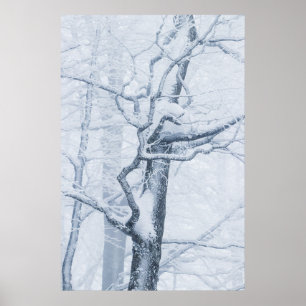Schneebaum Poster