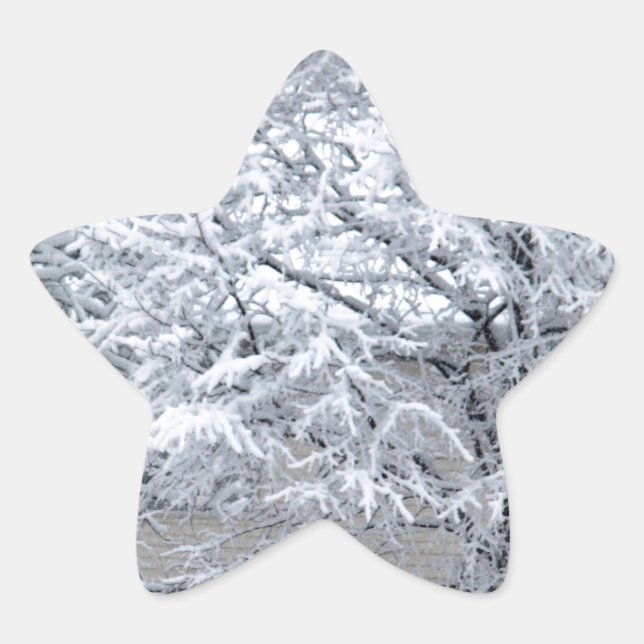 Schneebaum Stern-Aufkleber (Vorderseite)