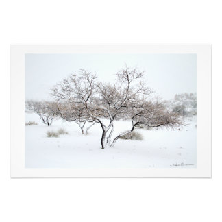 Schneebaum von Sidharta Pascual Fotodruck
