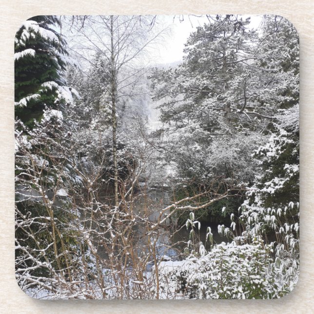 Schneebaume harter Kunststoff-Untersetzer Getränkeuntersetzer (Vorderseite)