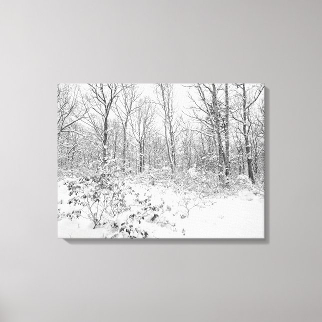 Schneebaume im Poconos Leinwanddruck (Vorderseite)