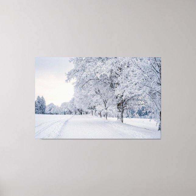 Schneebäume im Winter Leinwanddruck (Vorderseite)