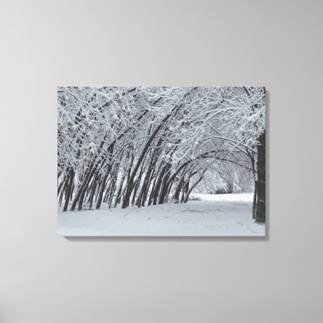 Schneebäume Landschaft Single drucken Leinwanddruck (Vorderseite)