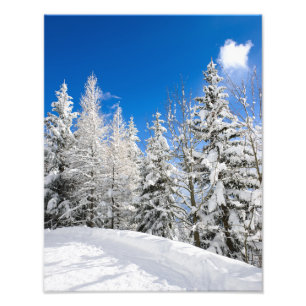 Schneebäume unter einem klaren blauen Himmel Fotod Fotodruck