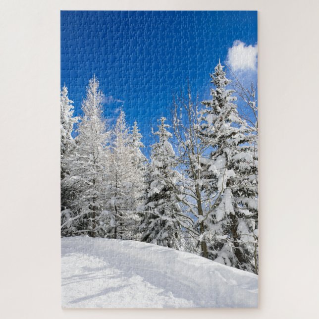 Schneebäume unter einem klaren blauen Himmel im (Vertikal)