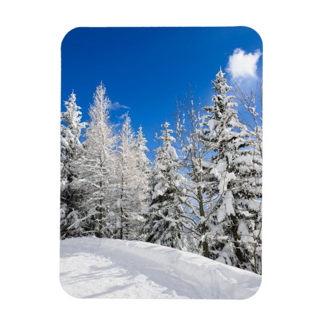 Schneebäume unter einem klaren, blauen vertikalen  magnet (Vertikal)