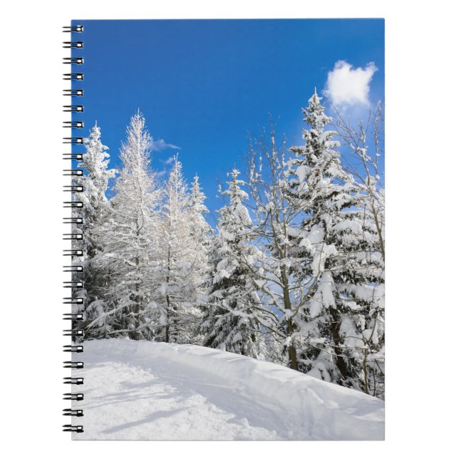 Schneebäume unter einem klaren Notizbuch des Notizblock (Vorderseite)