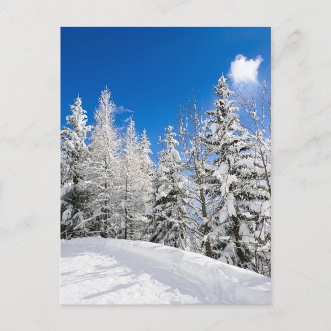Schneebäume unter einer klaren, blauen Himmelskart Postkarte (Vorderseite)