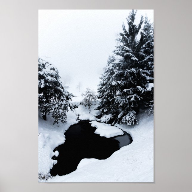 Schneebecken und Bäume verschwinden im Nebel Poster (Vorne)