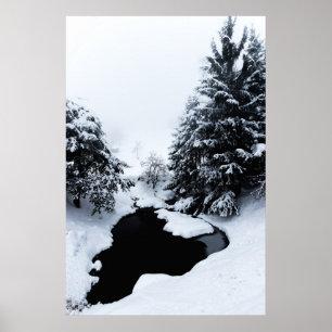 Schneebecken und Bäume verschwinden im Nebel Poster