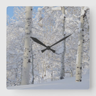 Schneebedeckte Aspen, Bärfespeicher-Verwüstungsk Quadratische Wanduhr