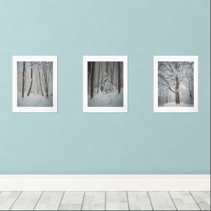 Schneebedeckte Bäume im scheußlichen Winterwald Bilderwand Sets