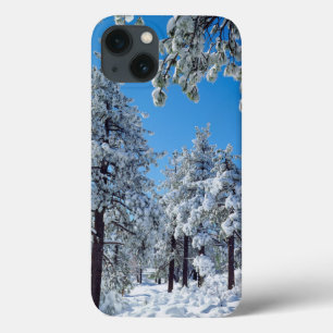 Schneebedeckte Bäume in den Laguna Mountains Case-Mate iPhone Hülle