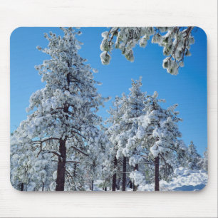 Schneebedeckte Bäume in den Laguna Mountains Mousepad