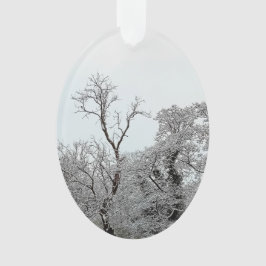 Schneebedeckte Bäume Ornament