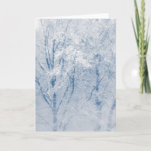Schneebedeckte Bäume Winterlandschaft Foto