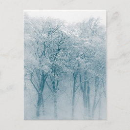 Schneebedeckte Bäume Winterlandschaft Foto Postkarte