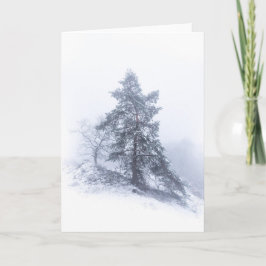 Schneebedeckte Baumfotokarte Karte
