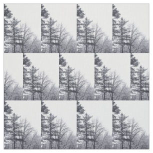 Schneebedeckte Baumwinterstoffe Foto Stoff
