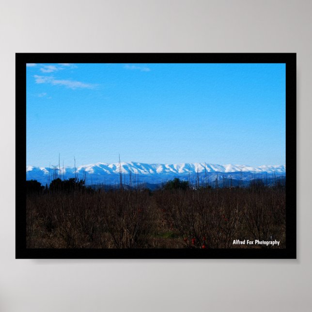 Schneebedeckte Berge hinter Persimmonfeld Poster (Vorne)