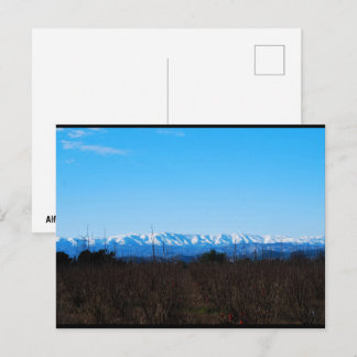Schneebedeckte Berge hinter Persimmonfeld Postkarte