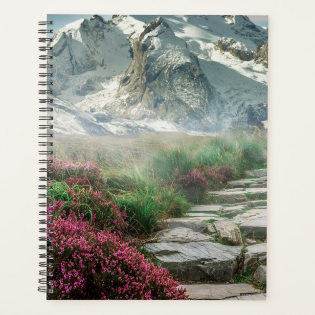 Schneebedeckte Berge Planer (Vorderseite)