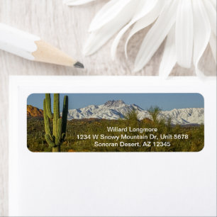 Schneebedeckte Berge Saguaro Kaktus Arizona USA