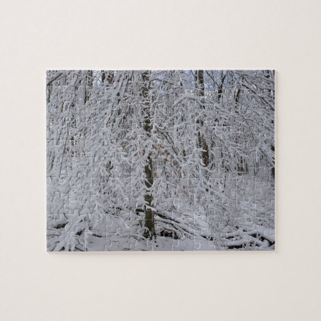 Schneebedeckte Birkenbaumkrone (Horizontal)