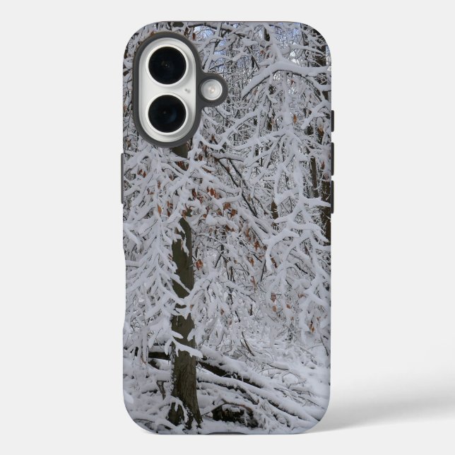 Schneebedeckte Birkenbaumkrone iPhone 16 Hülle (Rückseite)