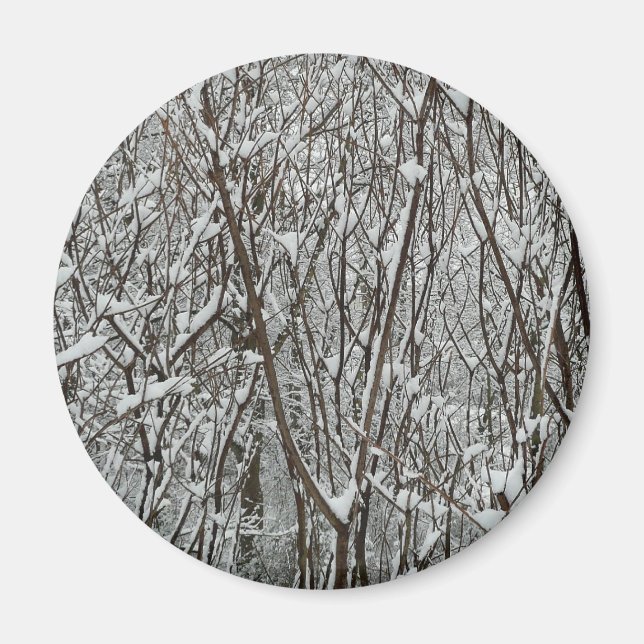 Schneebedeckte Branchen Winter Abstrakt Magnet (Vorne)