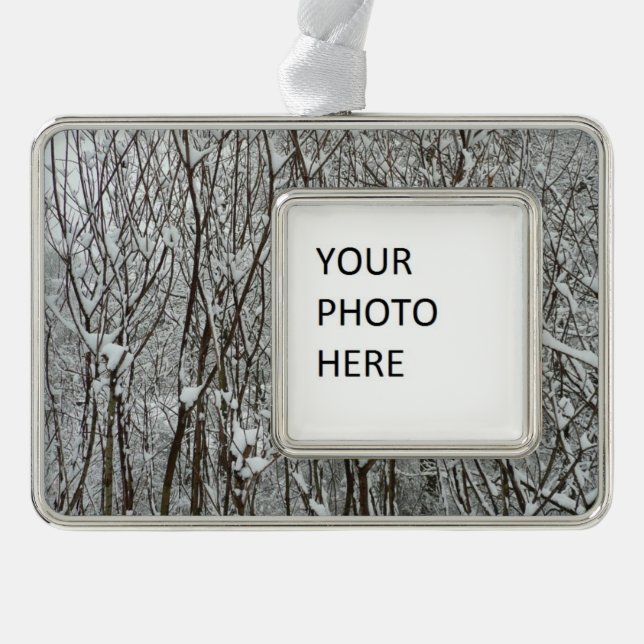 Schneebedeckte Branchen Winter Abstrakt Rahmen-Ornament Silber (Vorderseite)