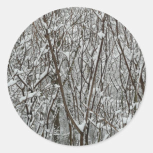 Schneebedeckte Branchen Winter Abstrakt Runder Aufkleber