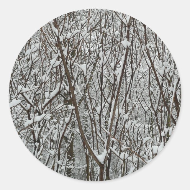 Schneebedeckte Branchen Winter Abstrakt Runder Aufkleber (Vorderseite)