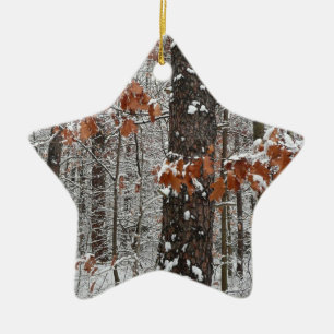 Schneebedeckte Eichen im Winter - Naturfotografie Keramik Ornament